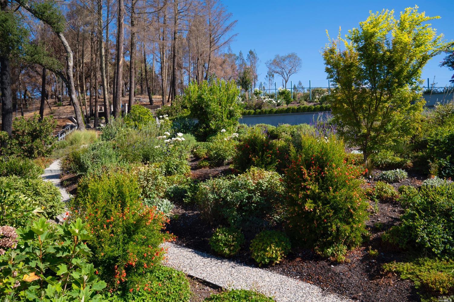 Detail Gallery Image 36 of 40 For 9 Bournemouth Rd, Saint Helena,  CA 94574 - 4 Beds | 5/2 Baths