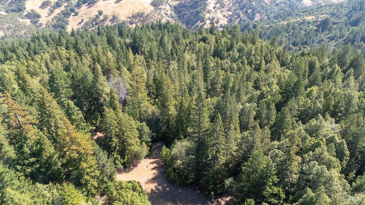 Detail Gallery Image 4 of 63 For 30401 Hwy 128 Hwy, Yorkville,  CA 95494 - – Beds | – Baths