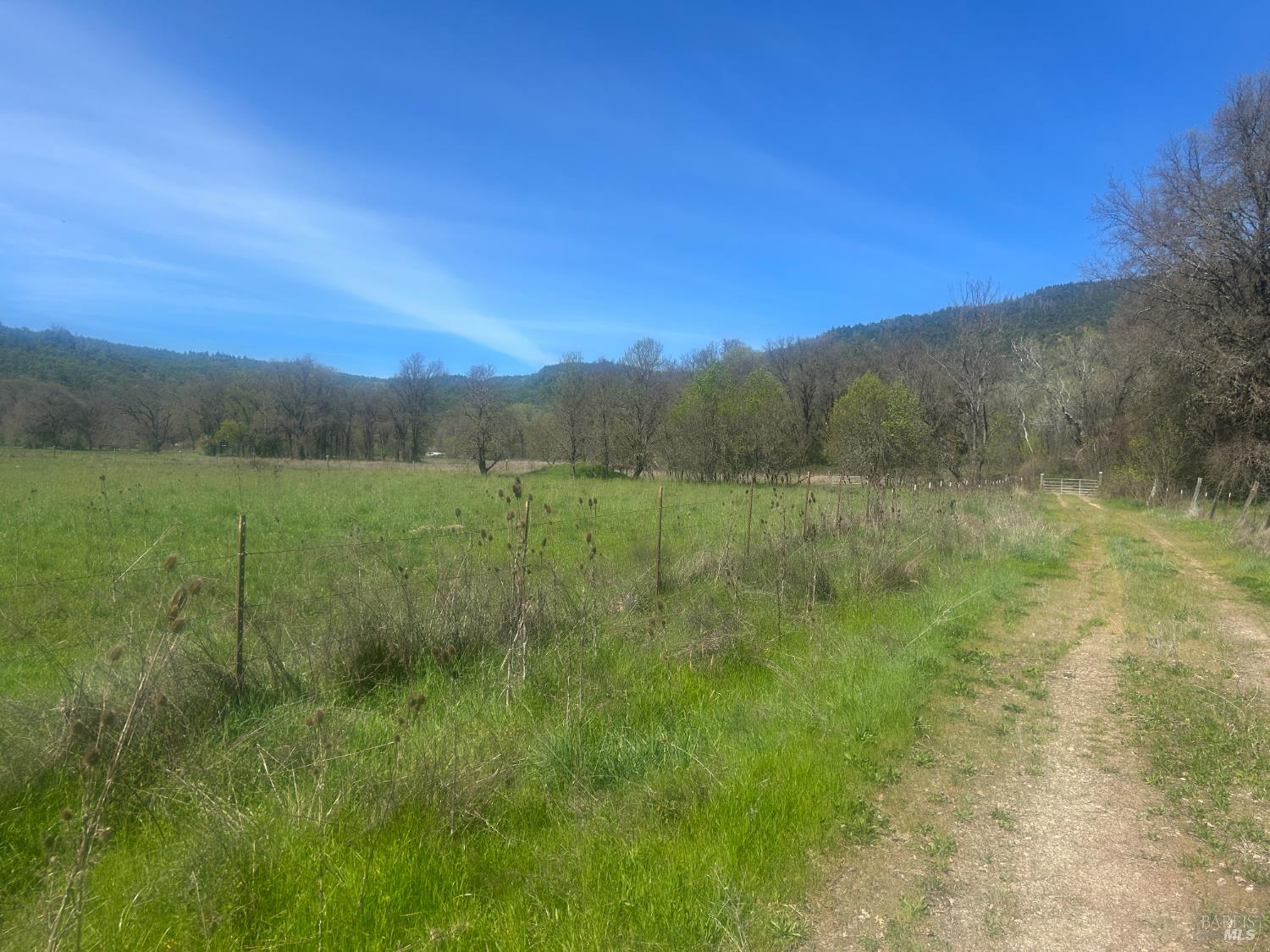 Detail Gallery Image 13 of 14 For 0 Zenia Rd, Covelo,  CA 95428 - – Beds | – Baths