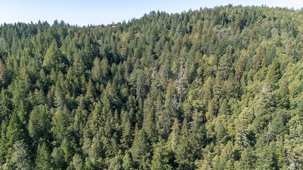 Detail Gallery Image 10 of 63 For 30401 Hwy 128 Hwy, Yorkville,  CA 95494 - – Beds | – Baths