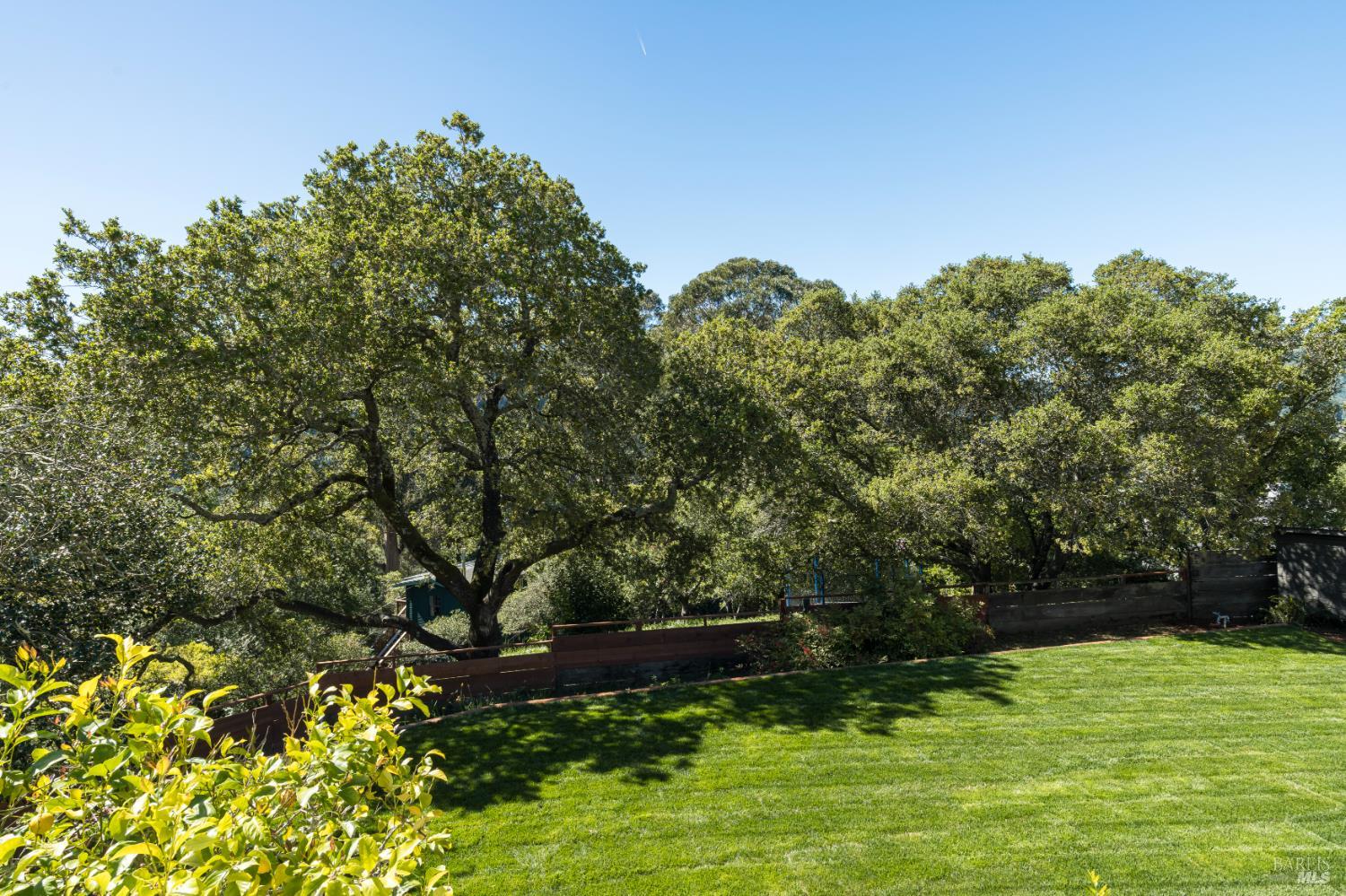 Detail Gallery Image 49 of 59 For 14 Skyland Way, Ross,  CA 94957 - 5 Beds | 4/1 Baths