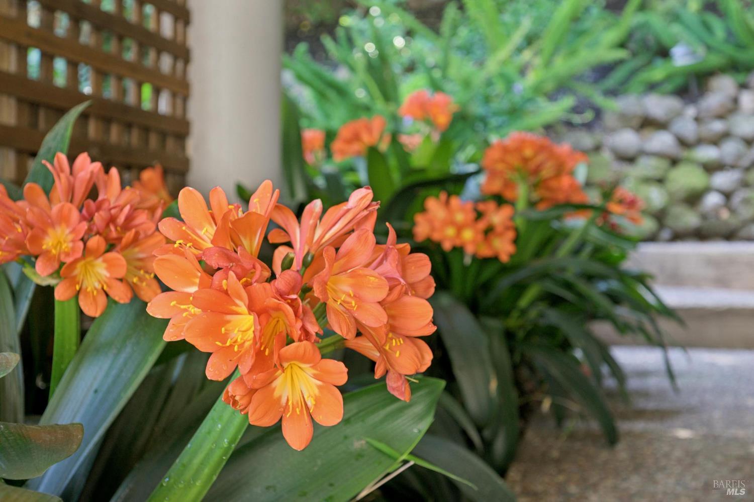 Detail Gallery Image 32 of 42 For 55 Upper North Ter, Tiburon,  CA 94920 - 4 Beds | 3 Baths