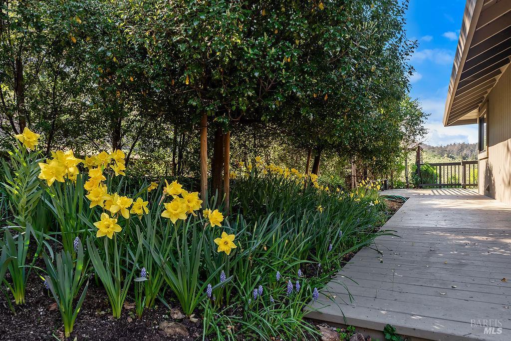 Detail Gallery Image 54 of 58 For 549 Catherine Ct, Santa Rosa,  CA 95409 - 3 Beds | 2/1 Baths