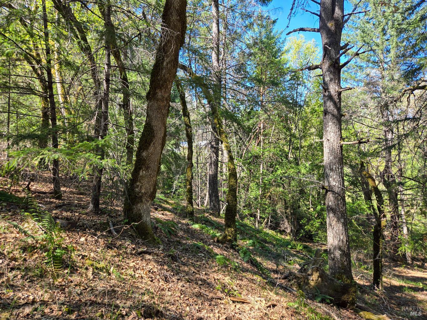 Detail Gallery Image 10 of 16 For 28201 Sherwood Rd, Willits,  CA 95490 - 2 Beds | 1 Baths