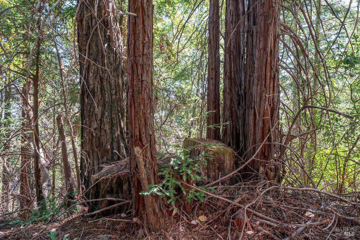 Detail Gallery Image 37 of 63 For 30401 Hwy 128 Hwy, Yorkville,  CA 95494 - – Beds | – Baths