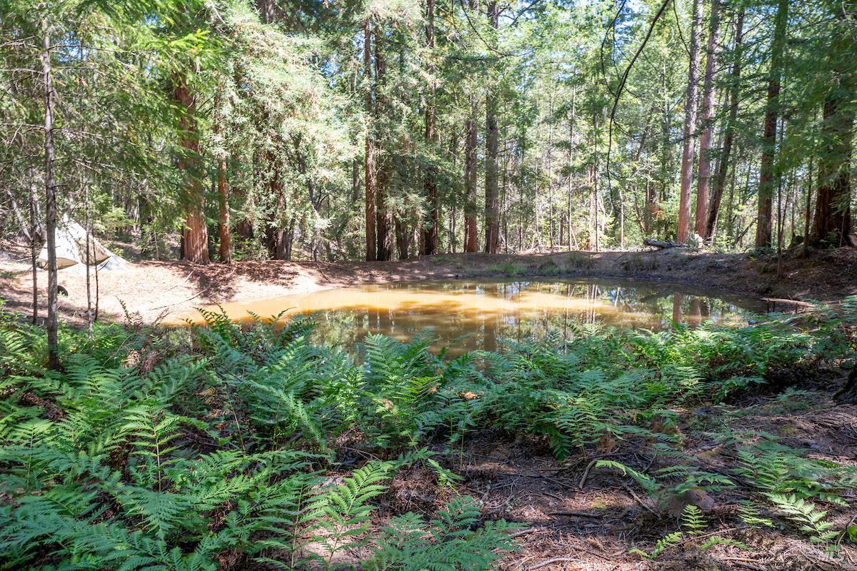 Detail Gallery Image 51 of 63 For 30401 Hwy 128 Hwy, Yorkville,  CA 95494 - – Beds | – Baths