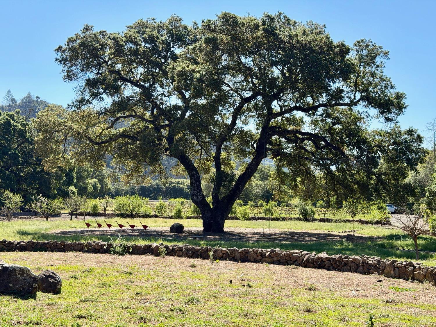 Detail Gallery Image 39 of 50 For 321 Dutch Henry Canyon Rd, Calistoga,  CA 94515 - 3 Beds | 3 Baths