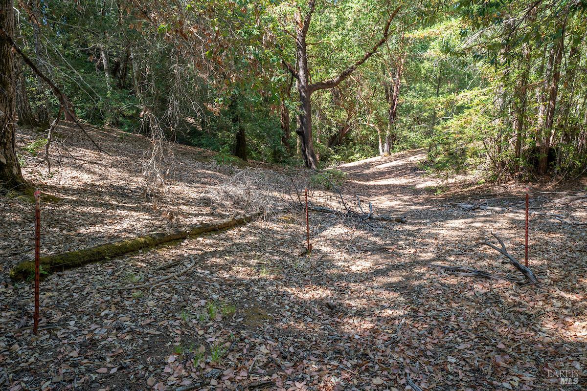 Detail Gallery Image 39 of 63 For 30401 Hwy 128 Hwy, Yorkville,  CA 95494 - – Beds | – Baths