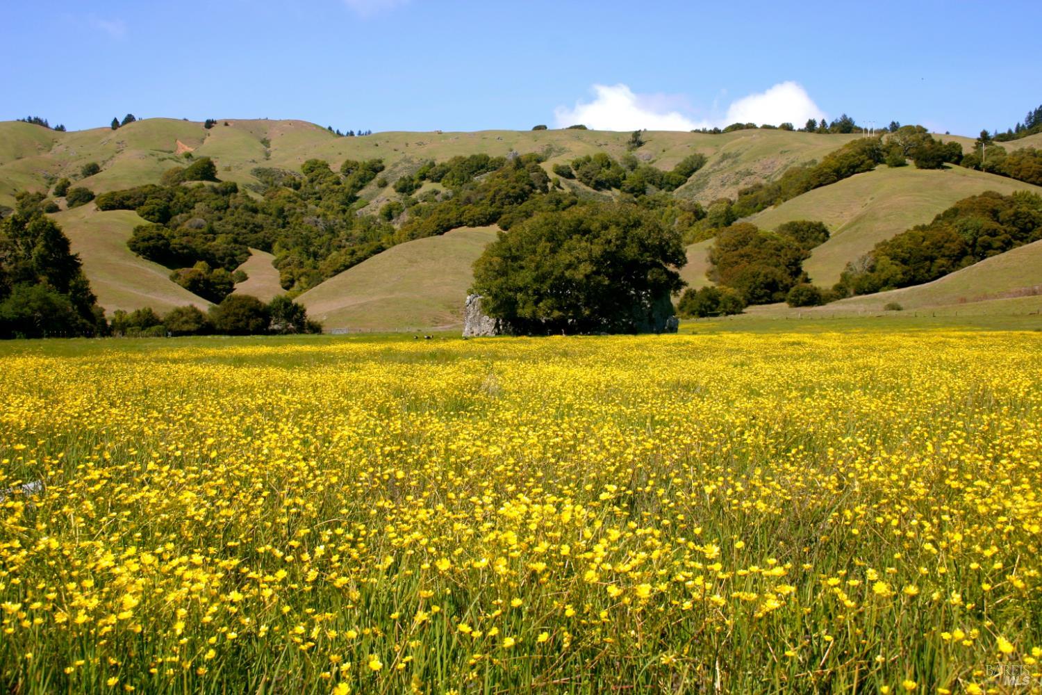 Detail Gallery Image 43 of 43 For 1 Alamo Way, Lagunitas,  CA 94938 - 2 Beds | 2 Baths