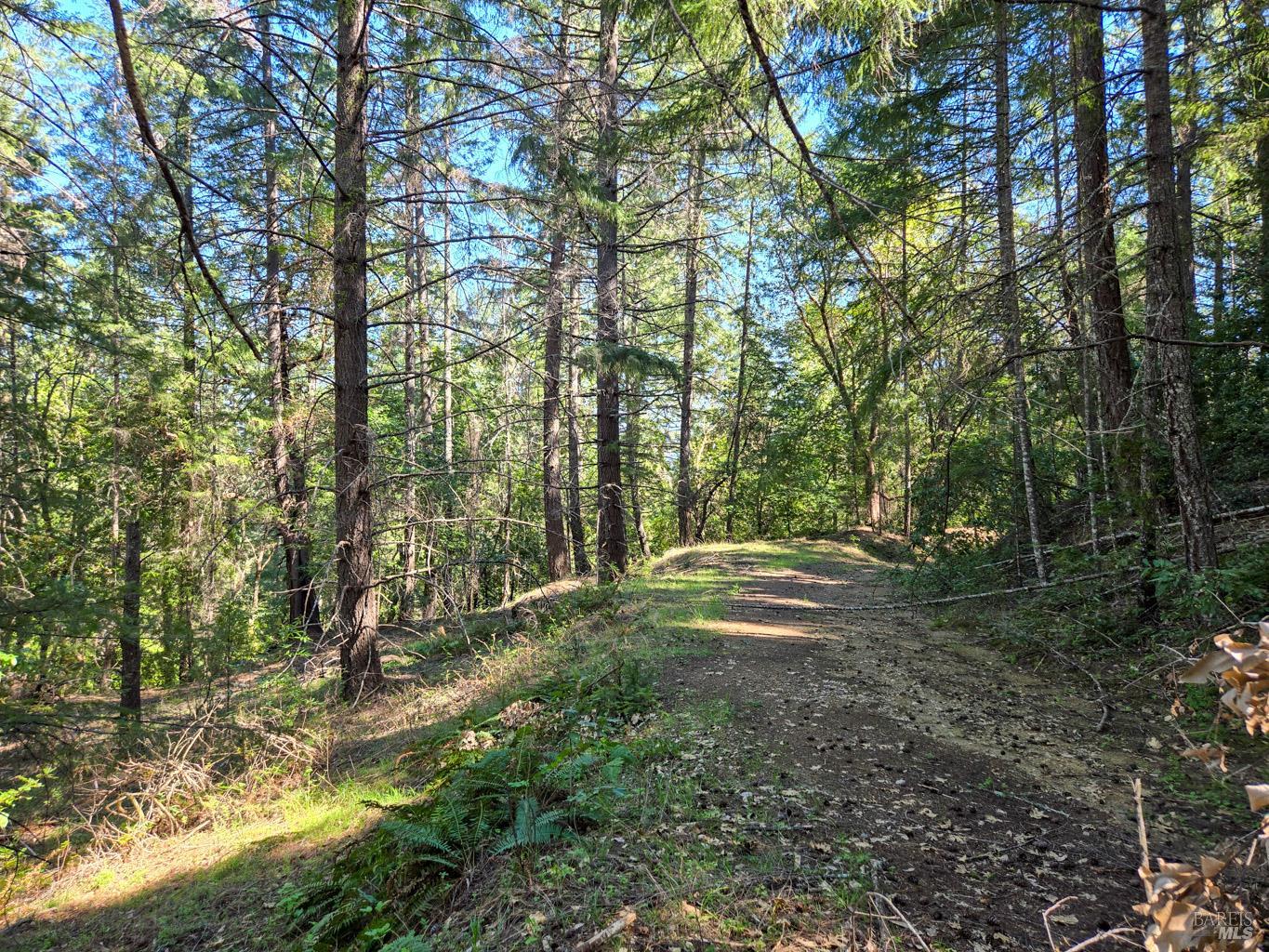 Detail Gallery Image 11 of 16 For 28201 Sherwood Rd, Willits,  CA 95490 - 2 Beds | 1 Baths