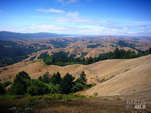 Detail Gallery Image 41 of 43 For 1 Alamo Way, Lagunitas,  CA 94938 - 2 Beds | 2 Baths