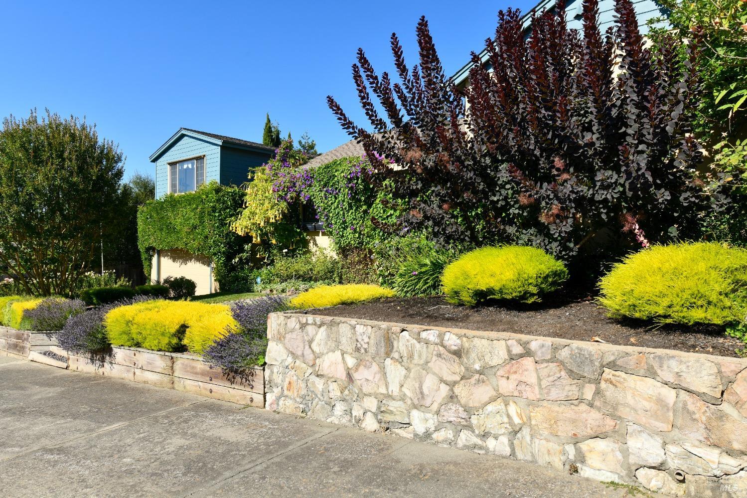 Detail Gallery Image 2 of 31 For 4 Ramona Ave, Napa,  CA 94559 - 3 Beds | 2 Baths