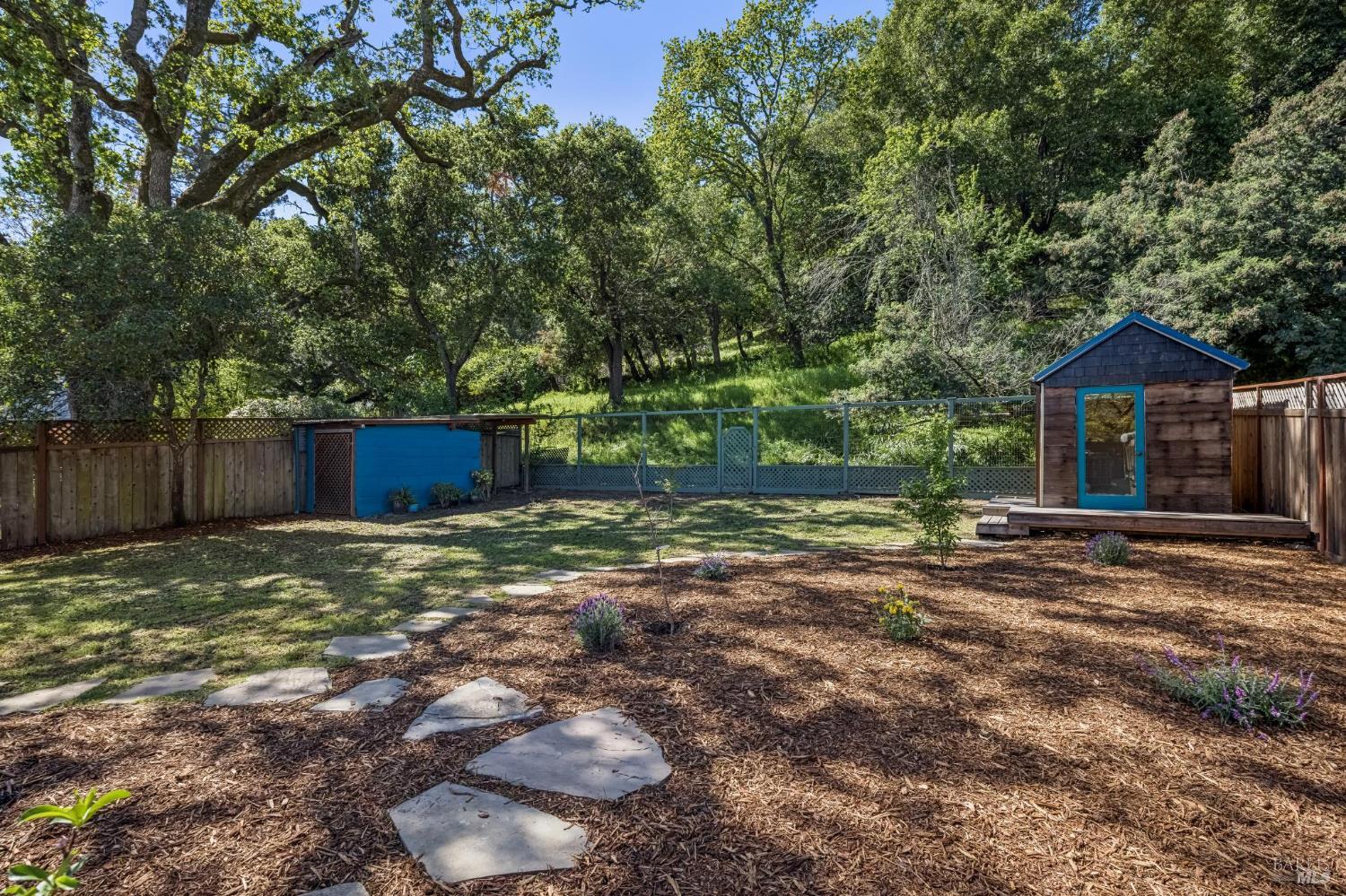 Detail Gallery Image 41 of 49 For 355 Irwin St, San Rafael,  CA 94901 - 3 Beds | 1 Baths