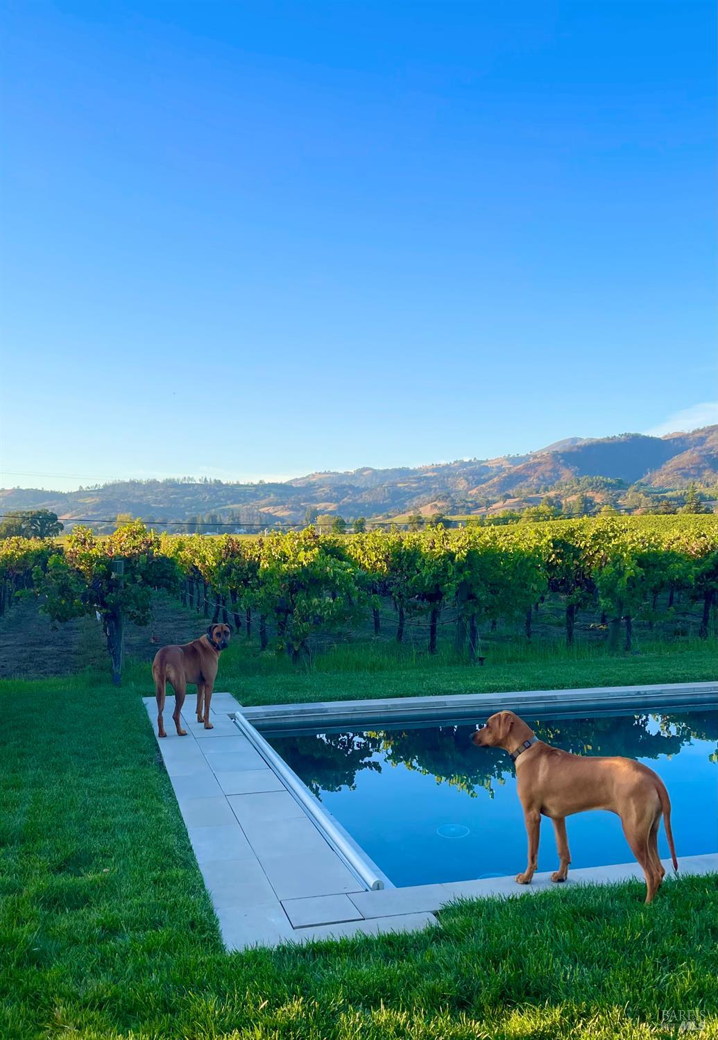 Detail Gallery Image 49 of 54 For 6476 Red Winery Rd, Geyserville,  CA 95441 - 3 Beds | 3 Baths