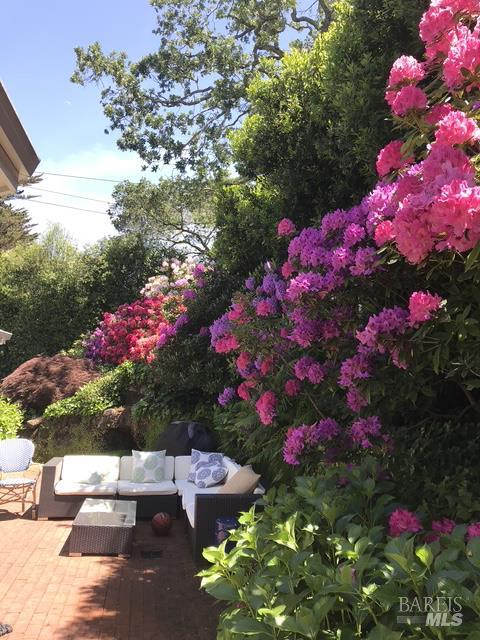 Detail Gallery Image 44 of 56 For 161 Lagunitas Rd, Ross,  CA 94957 - 4 Beds | 3 Baths