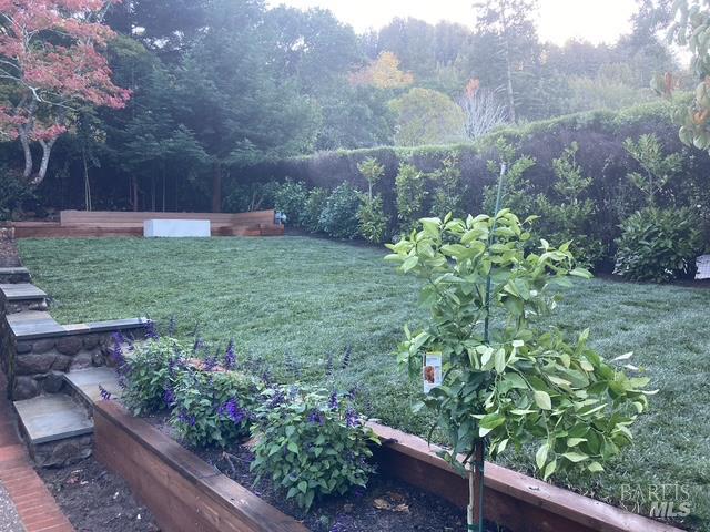 Detail Gallery Image 48 of 56 For 161 Lagunitas Rd, Ross,  CA 94957 - 4 Beds | 3 Baths