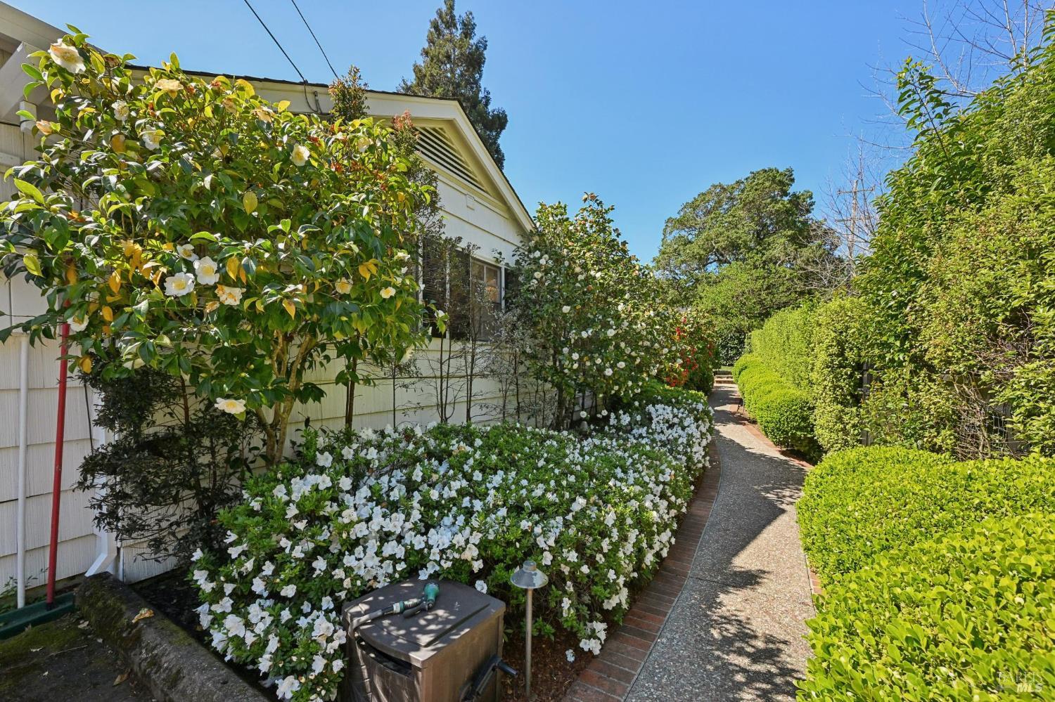 Detail Gallery Image 39 of 56 For 161 Lagunitas Rd, Ross,  CA 94957 - 4 Beds | 3 Baths