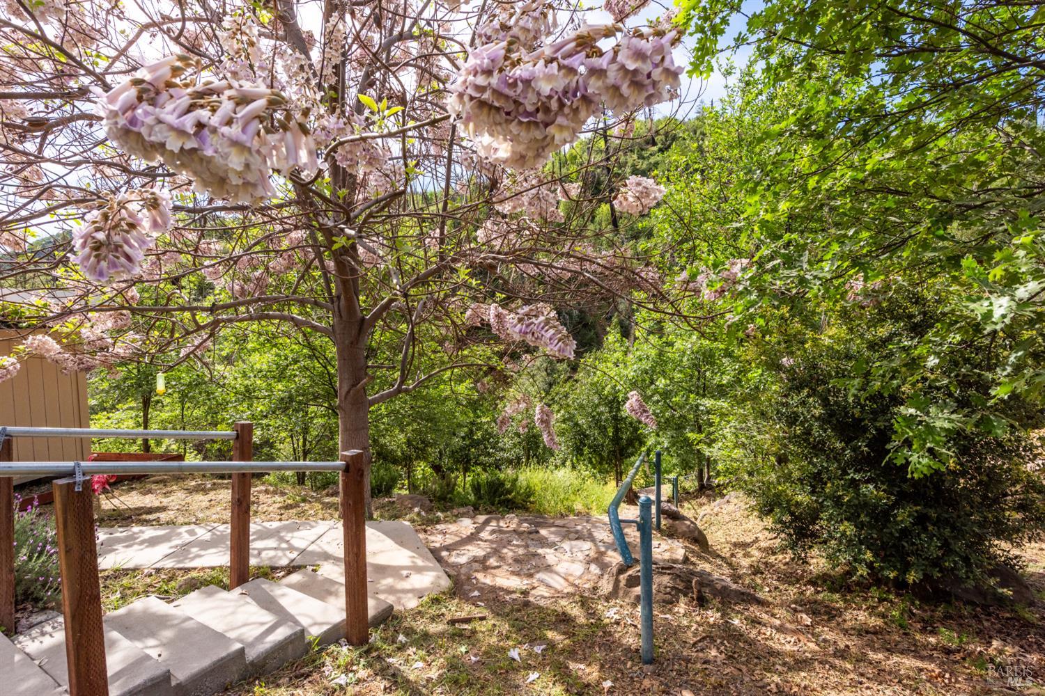 Detail Gallery Image 33 of 36 For 12127 Mead Rd, Middletown,  CA 95461 - 3 Beds | 2 Baths