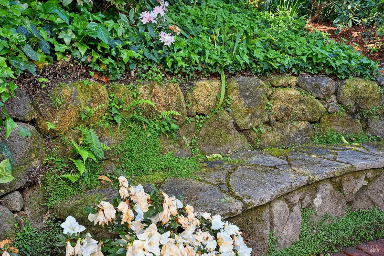 Detail Gallery Image 54 of 56 For 161 Lagunitas Rd, Ross,  CA 94957 - 4 Beds | 3 Baths