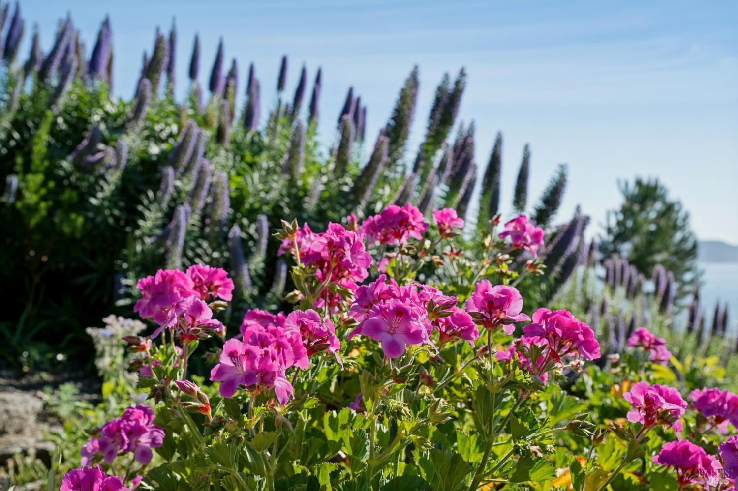 Detail Gallery Image 46 of 47 For 435 Tremont Ave, Point Richmond,  CA 94801 - 4 Beds | 4 Baths
