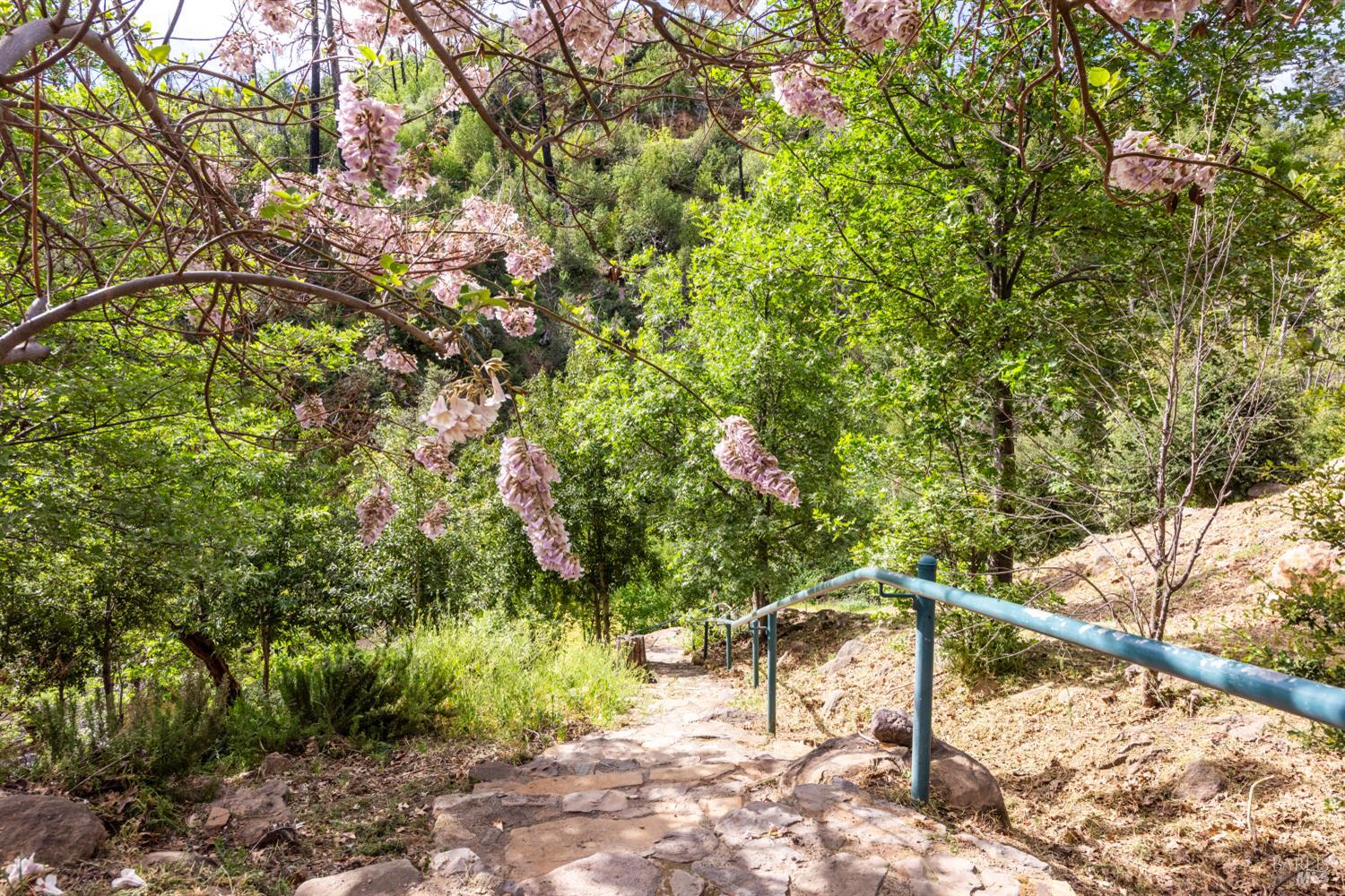 Detail Gallery Image 34 of 36 For 12127 Mead Rd, Middletown,  CA 95461 - 3 Beds | 2 Baths