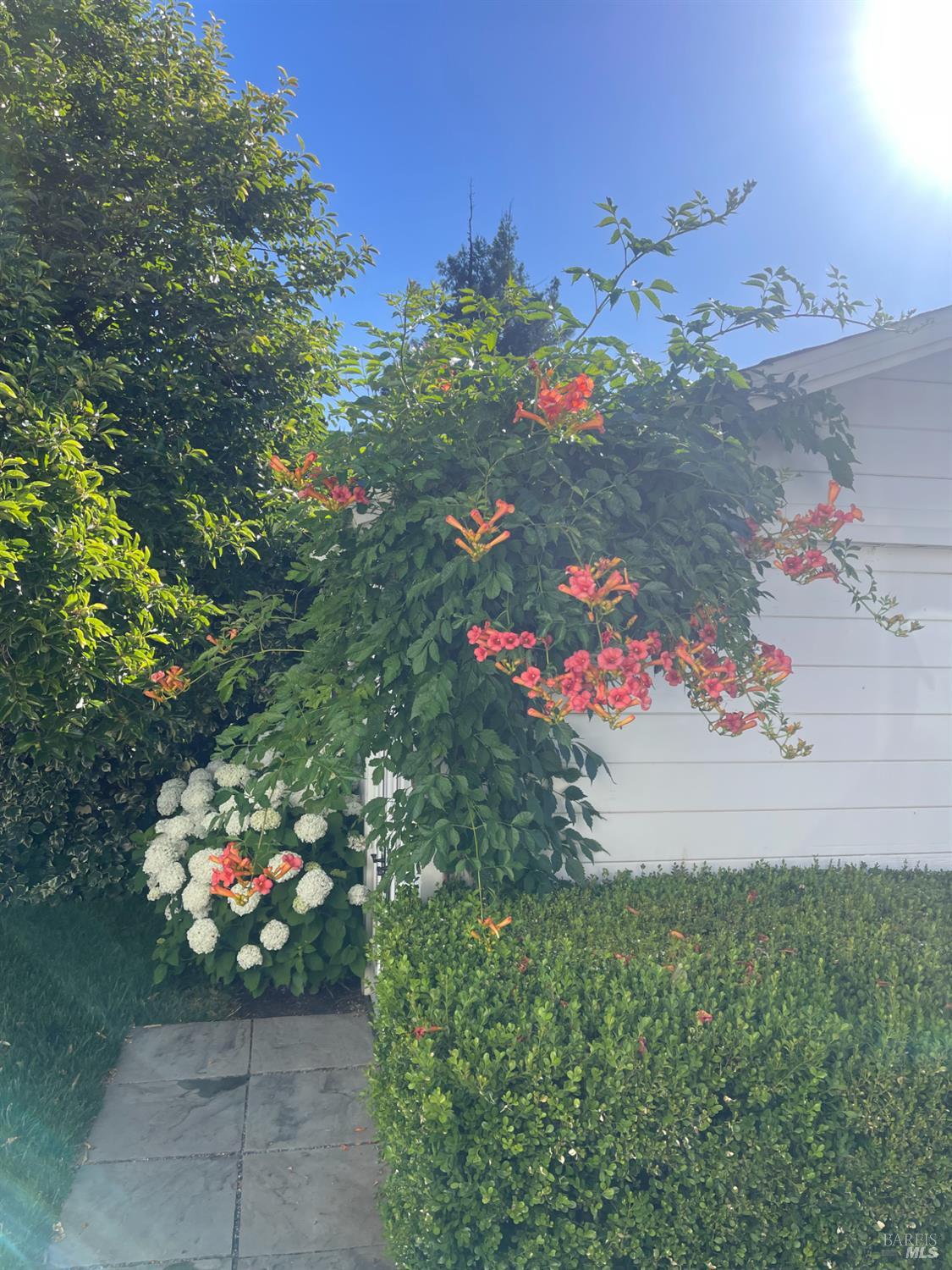 Detail Gallery Image 44 of 54 For 6476 Red Winery Rd, Geyserville,  CA 95441 - 3 Beds | 3 Baths