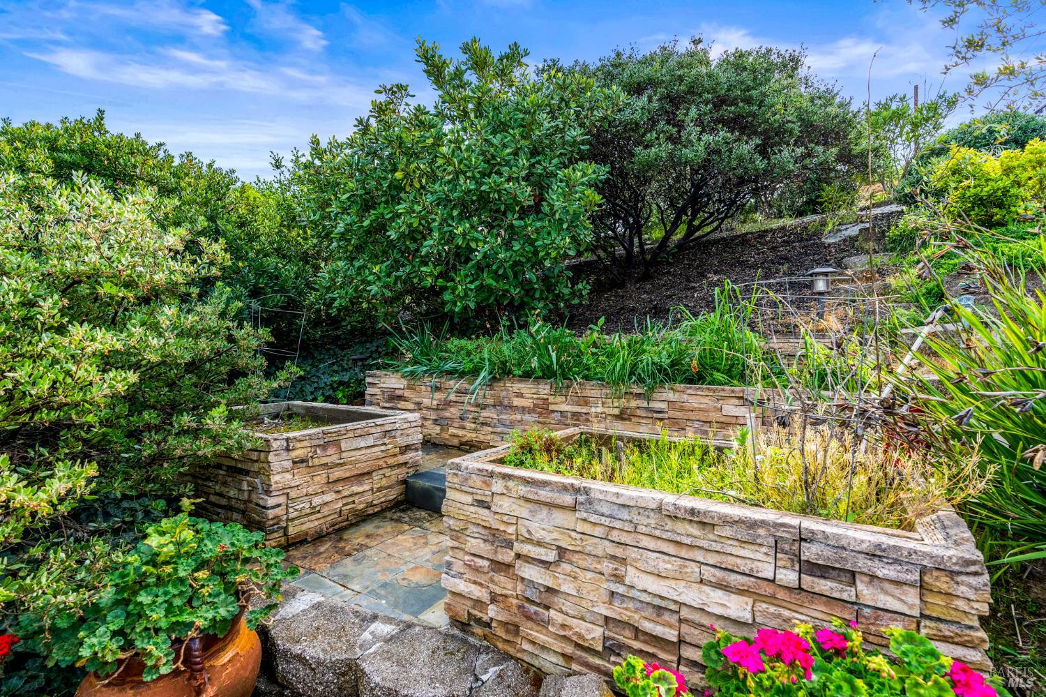 Detail Gallery Image 15 of 78 For 3207 Swiss Ct, Napa,  CA 94558 - 4 Beds | 2/1 Baths