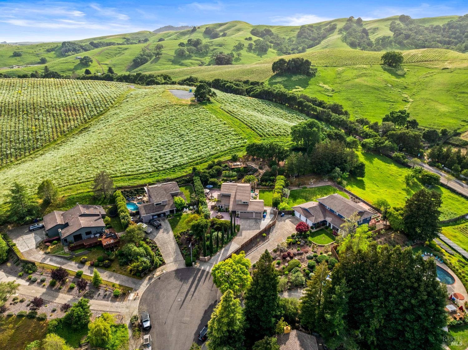 Detail Gallery Image 47 of 78 For 3207 Swiss Ct, Napa,  CA 94558 - 4 Beds | 2/1 Baths