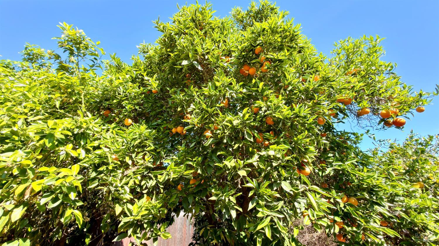 Detail Gallery Image 35 of 35 For 544 B St, Hollister,  CA 95023 - 2 Beds | 1 Baths