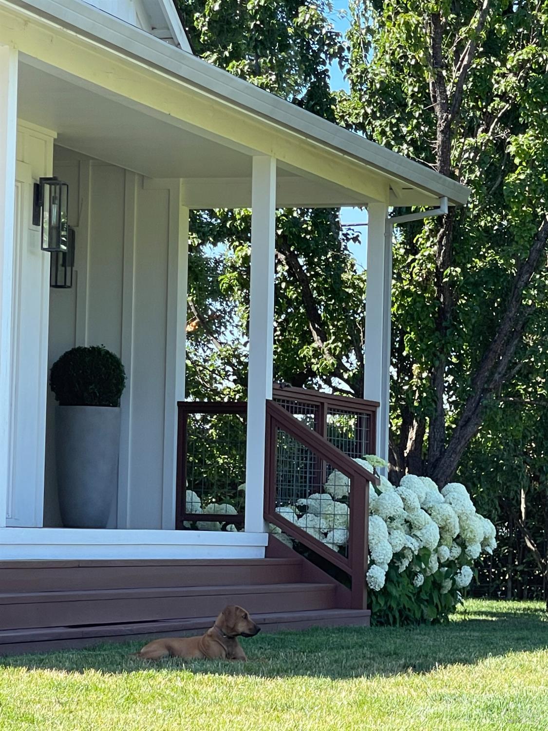 Detail Gallery Image 42 of 54 For 6476 Red Winery Rd, Geyserville,  CA 95441 - 3 Beds | 3 Baths