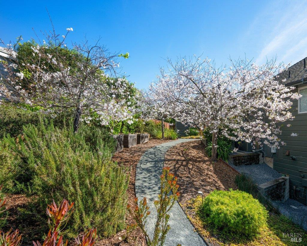 Detail Gallery Image 64 of 89 For 103 Reed Ranch Rd, Tiburon,  CA 94920 - 5 Beds | 4 Baths