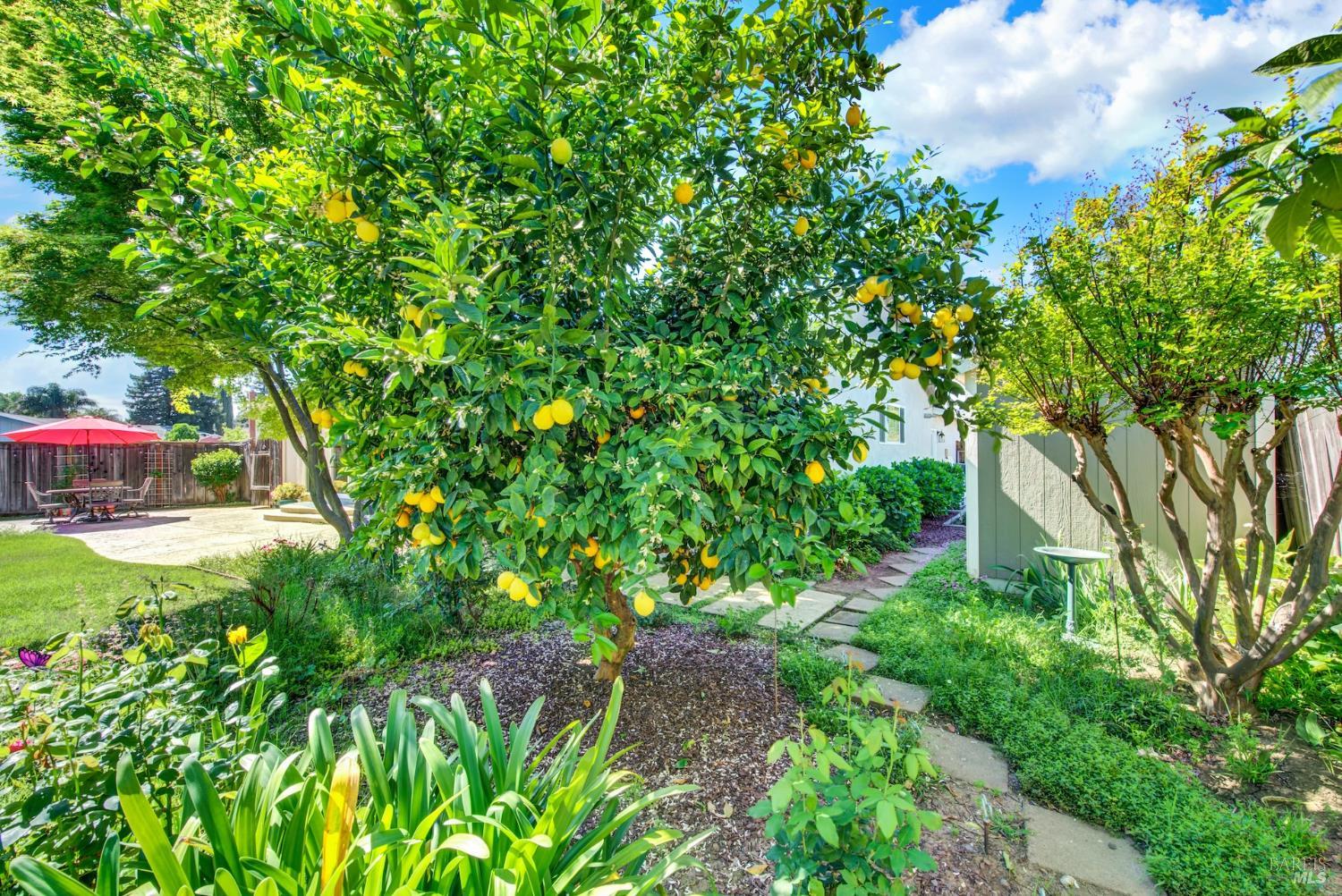 Detail Gallery Image 84 of 91 For 3225 W Pelham Ct, Fairfield,  CA 94534 - 3 Beds | 2 Baths