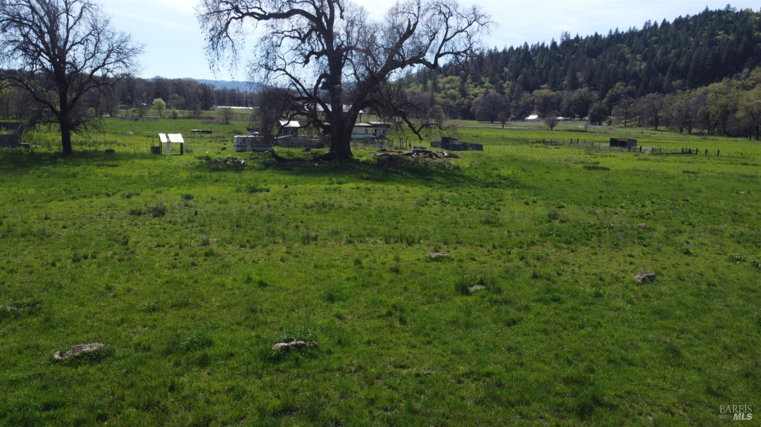 Detail Gallery Image 9 of 14 For 0 Zenia Rd, Covelo,  CA 95428 - – Beds | – Baths