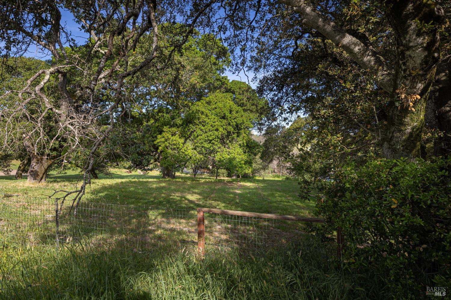 Detail Gallery Image 48 of 52 For 510 Kent St, Petaluma,  CA 94952 - 3 Beds | 2 Baths