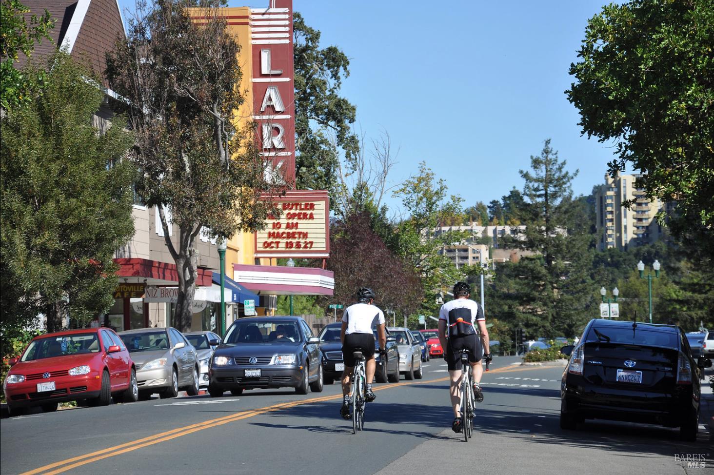 Detail Gallery Image 42 of 44 For 34 Diane Ln, Larkspur,  CA 94939 - 4 Beds | 3 Baths