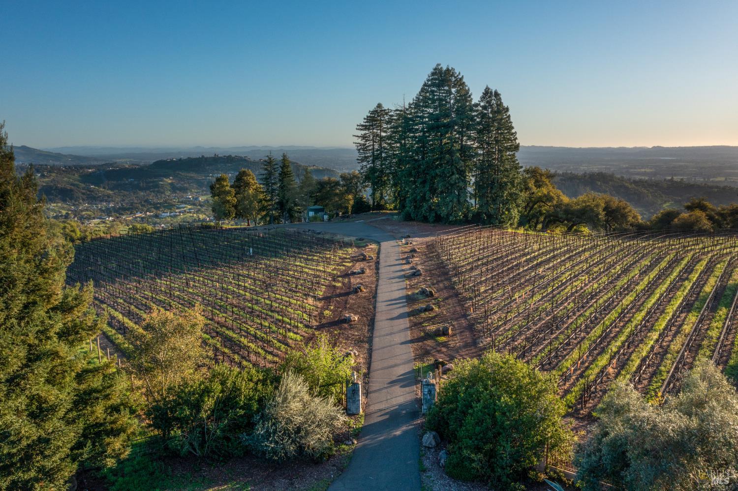 Front Image Thumbnail for BA326024269