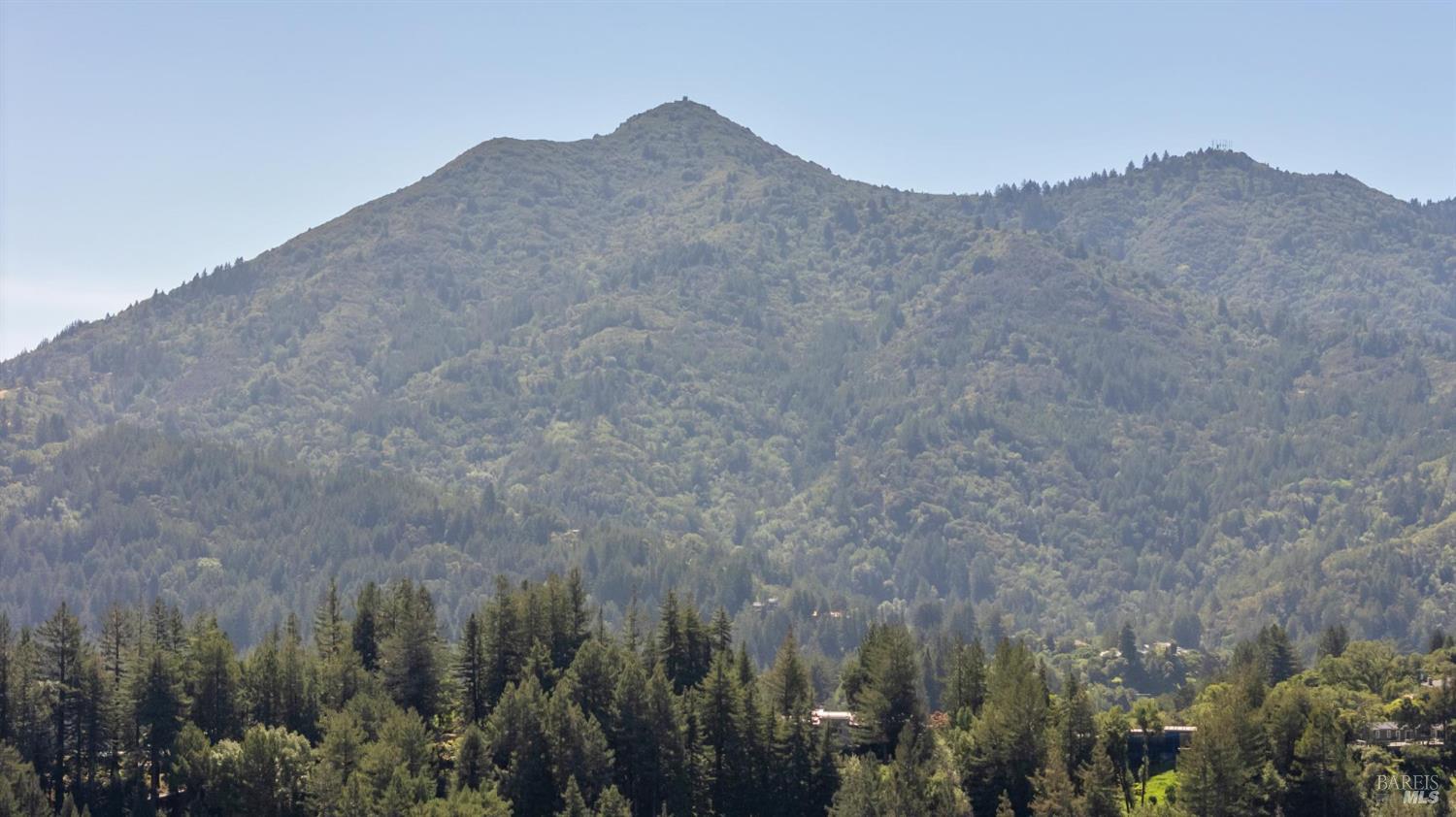 Detail Gallery Image 41 of 56 For 161 Lagunitas Rd, Ross,  CA 94957 - 4 Beds | 3 Baths