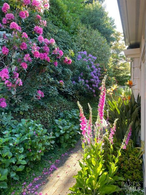 Detail Gallery Image 46 of 56 For 161 Lagunitas Rd, Ross,  CA 94957 - 4 Beds | 3 Baths