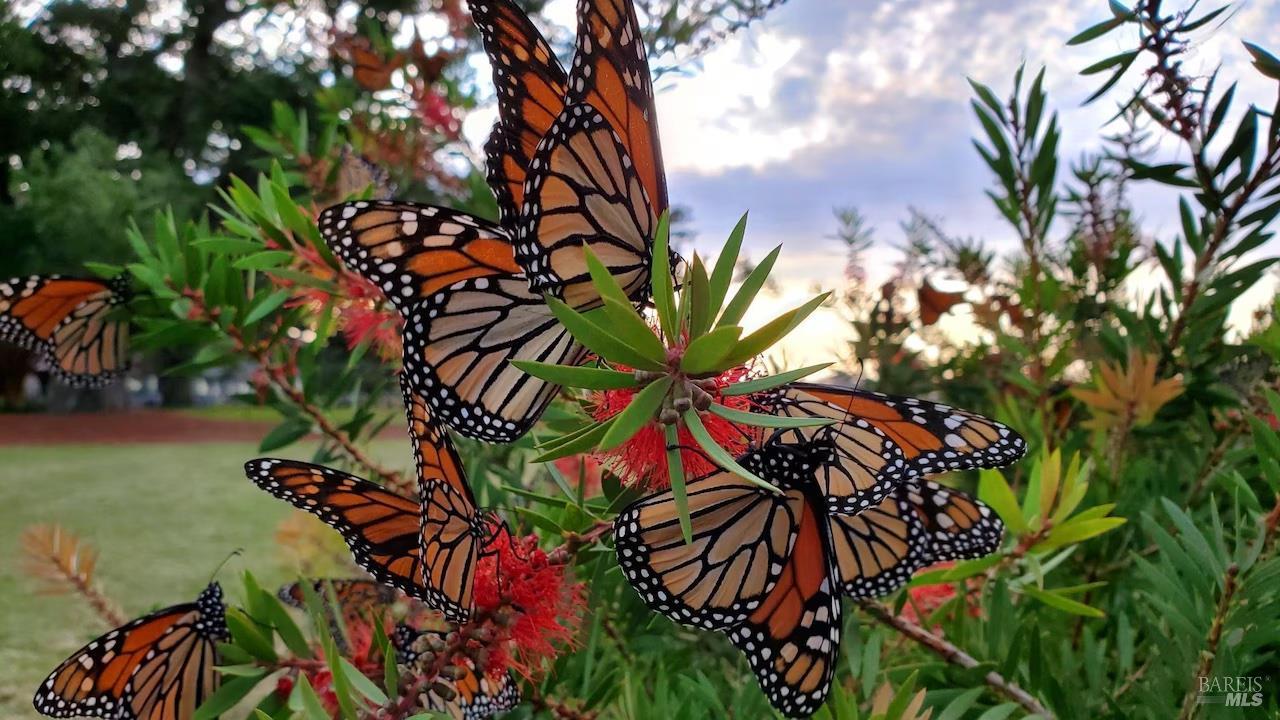 Detail Gallery Image 43 of 46 For 620 El Salto Dr, Capitola,  CA 95010 - 14 Beds | 11/1 Baths
