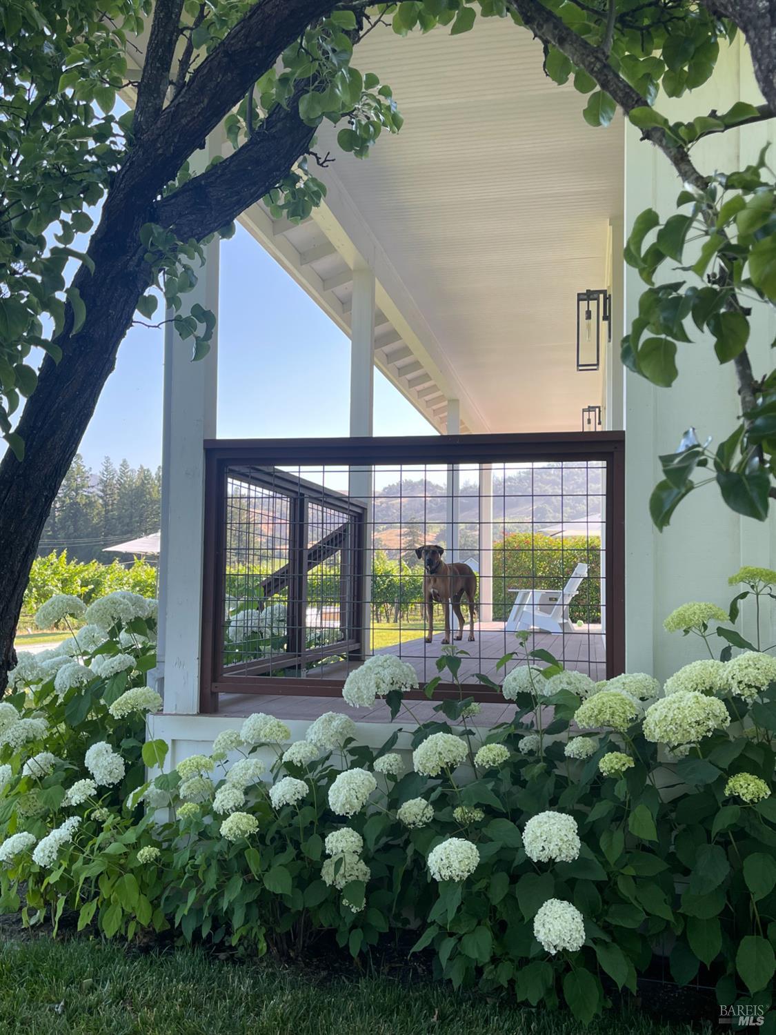 Detail Gallery Image 41 of 54 For 6476 Red Winery Rd, Geyserville,  CA 95441 - 3 Beds | 3 Baths