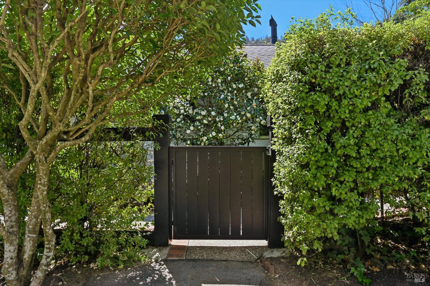 Detail Gallery Image 49 of 56 For 161 Lagunitas Rd, Ross,  CA 94957 - 4 Beds | 3 Baths