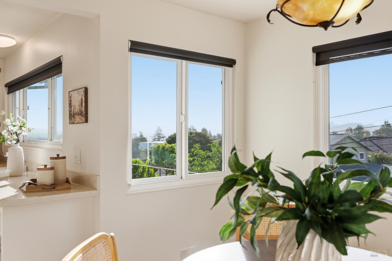 Detail Gallery Image 20 of 52 For 510 Kent St, Petaluma,  CA 94952 - 3 Beds | 2 Baths