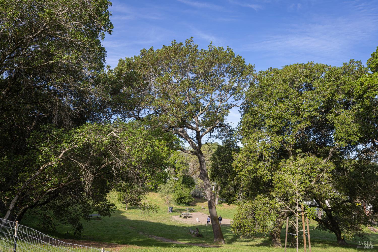 Detail Gallery Image 51 of 52 For 510 Kent St, Petaluma,  CA 94952 - 3 Beds | 2 Baths