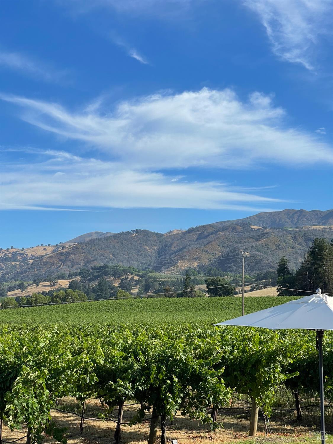 Detail Gallery Image 45 of 54 For 6476 Red Winery Rd, Geyserville,  CA 95441 - 3 Beds | 3 Baths