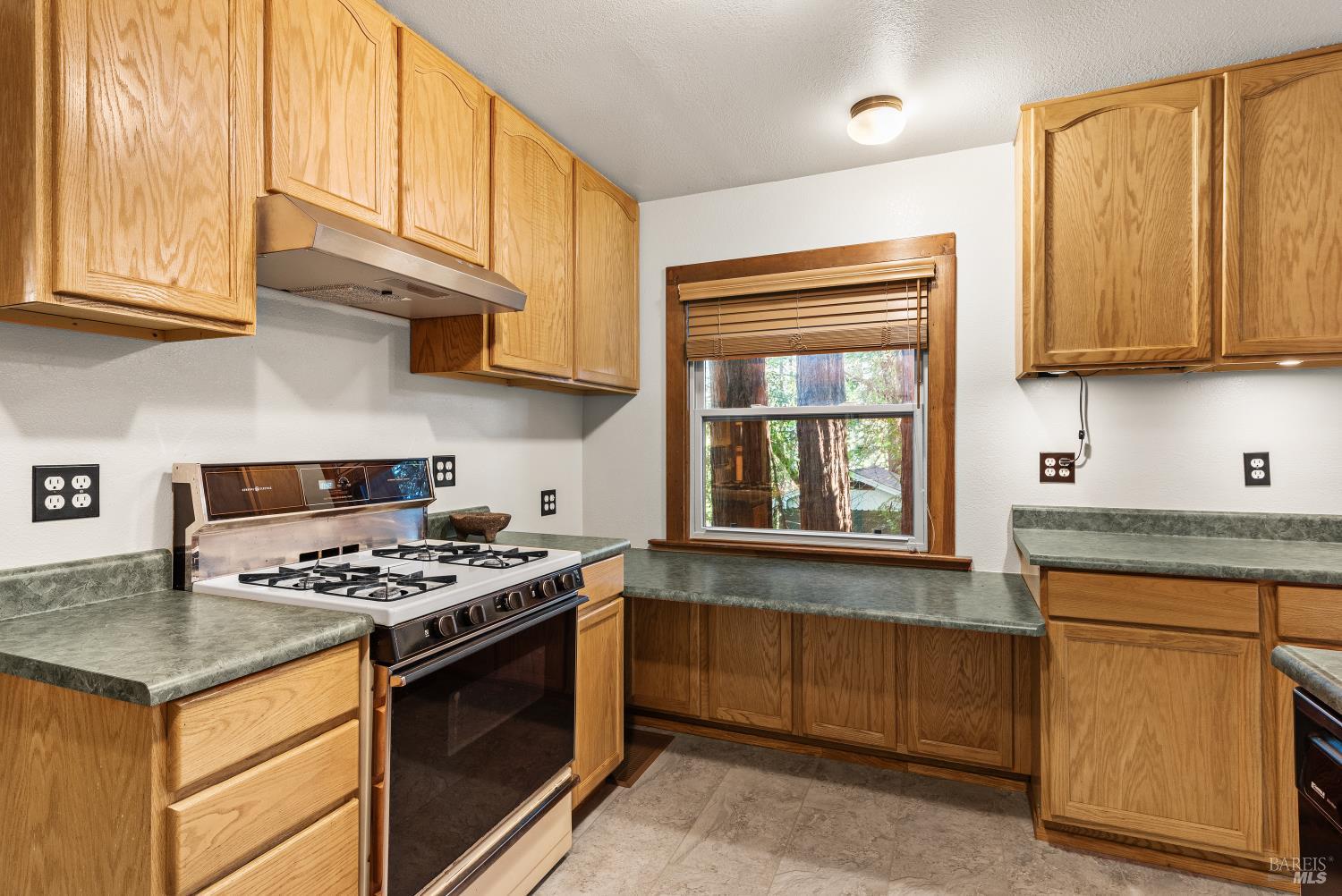 Detail Gallery Image 9 of 41 For 14529 Redwood Ln, Guerneville,  CA 95446 - 2 Beds | 1 Baths