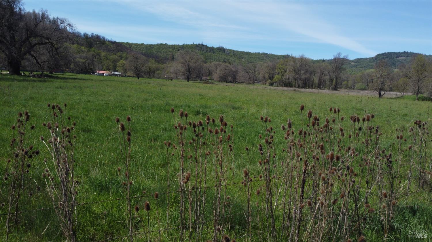 Detail Gallery Image 10 of 14 For 0 Zenia Rd, Covelo,  CA 95428 - – Beds | – Baths