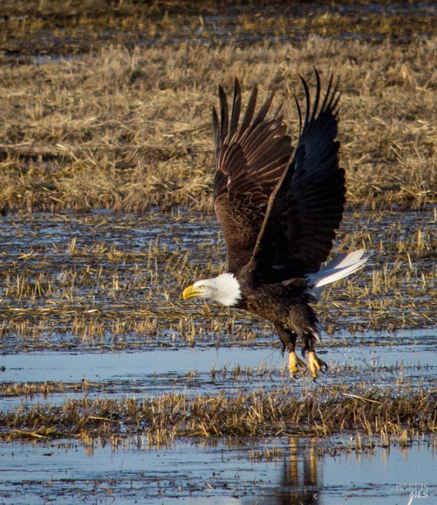 Detail Gallery Image 36 of 42 For 3034 State Line Rd, Dorris,  CA 96023 - 1 Beds | 0/1 Baths