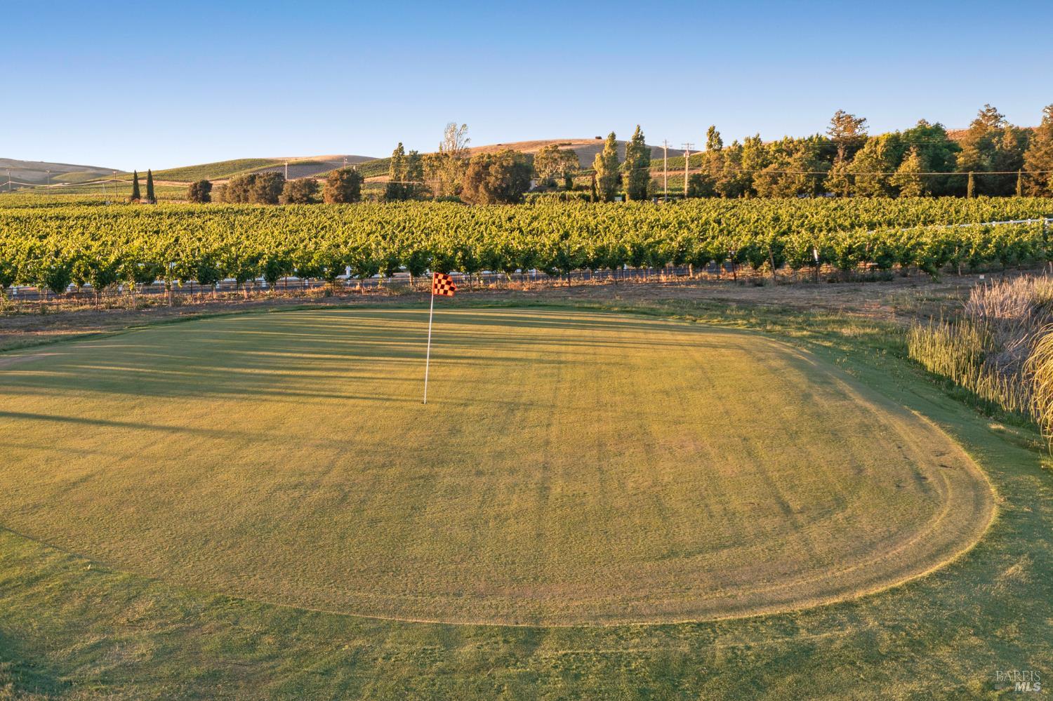 Detail Gallery Image 3 of 41 For 1129 Dealy Ln, Napa,  CA 94559 - – Beds | – Baths