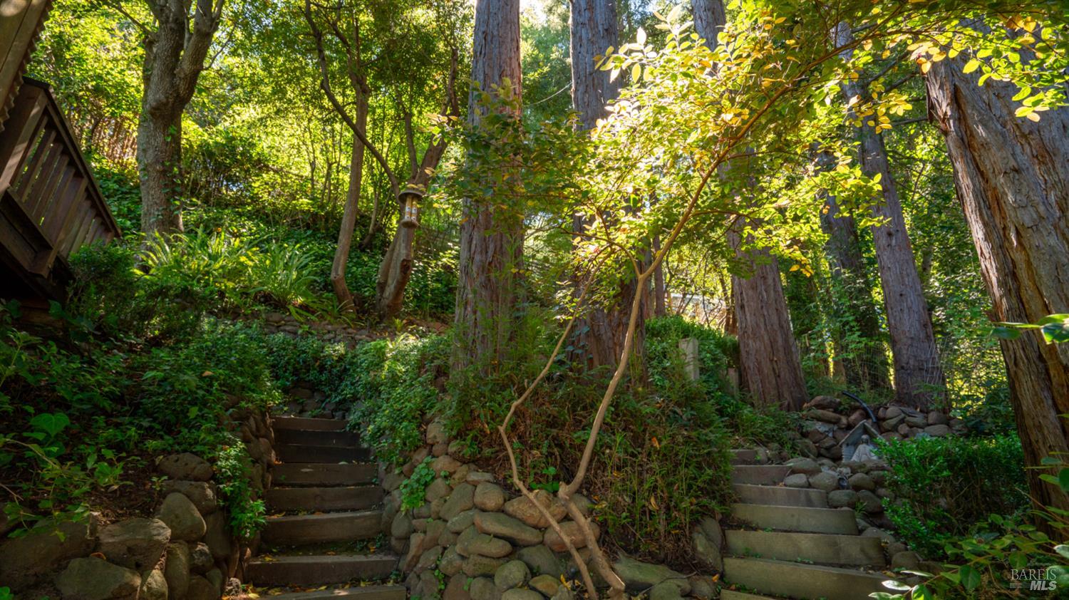 Detail Gallery Image 59 of 77 For 5 Viox Way, San Rafael,  CA 94901 - 4 Beds | 3/1 Baths