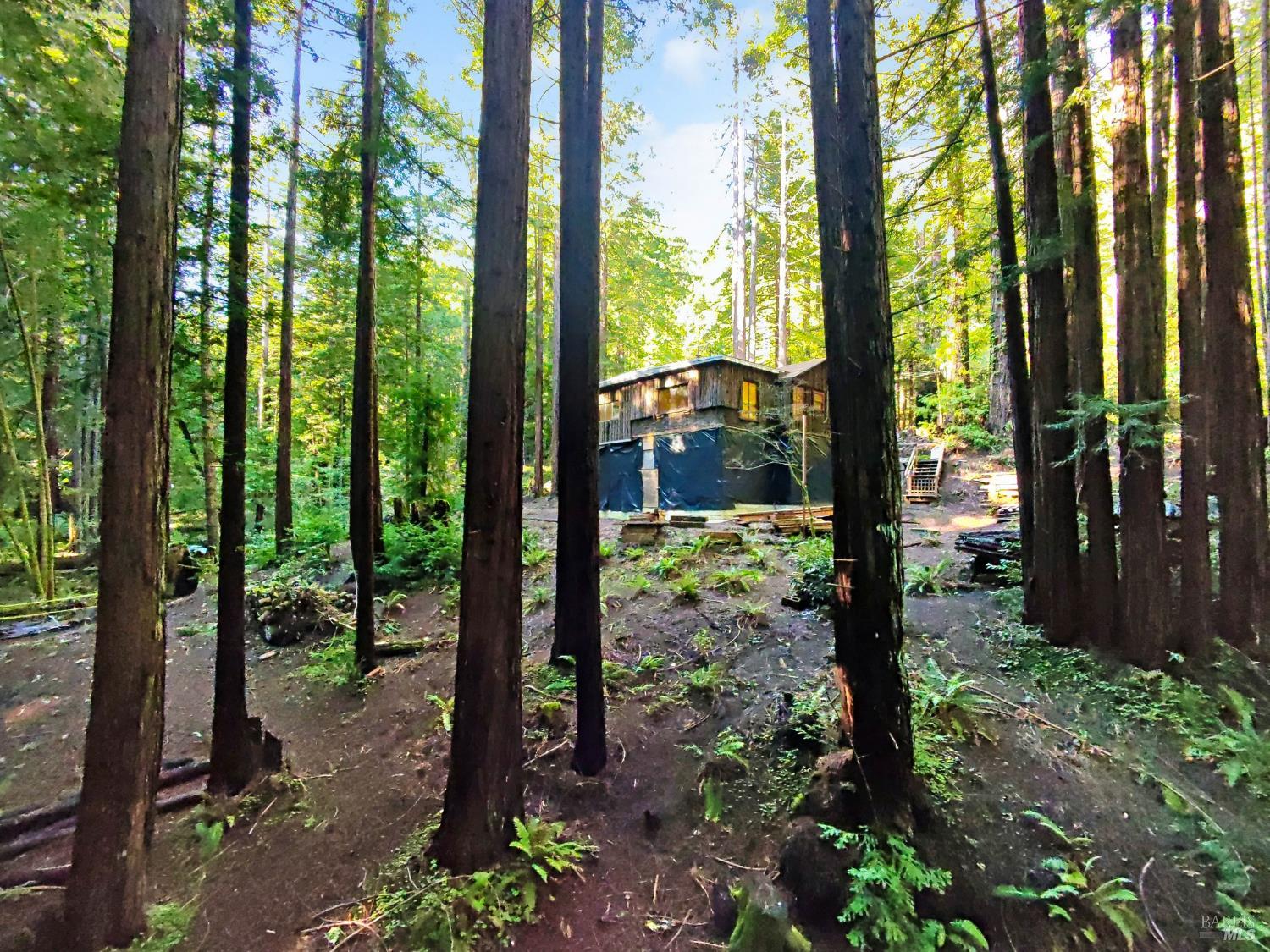 Detail Gallery Image 24 of 32 For 16125 Bittner Rd, Occidental,  CA 95465 - 4 Beds | 2 Baths